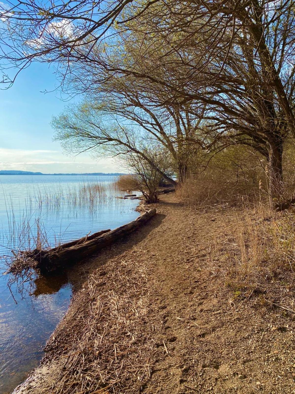 Chiemgauloft , 5 Sterne Ferienwohnung Am Chiemsee Übersee Exteriér fotografie